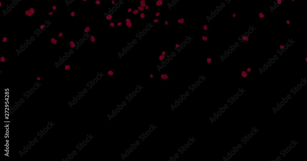 Red rose petals falling. Red rose petals falling.