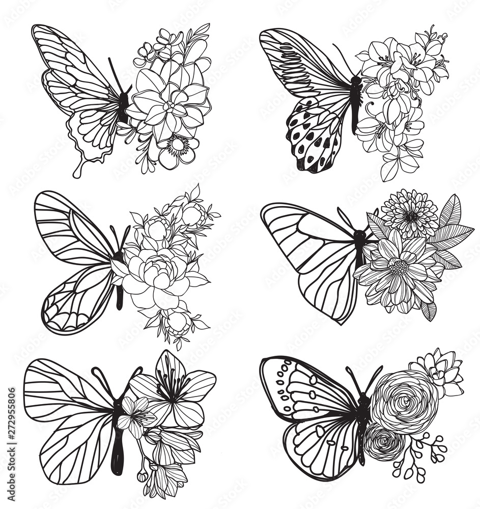 Tattoo art butterfly hand drawing and sketch with line art illustration