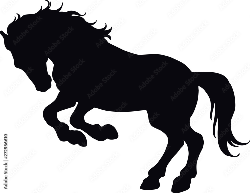 rearing up horse silhouette