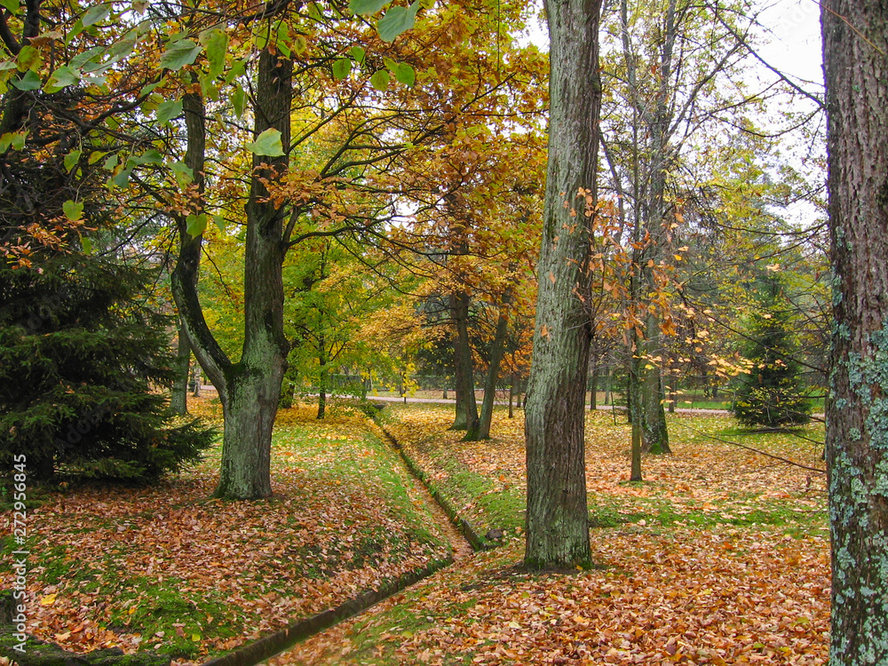 Peterhof views