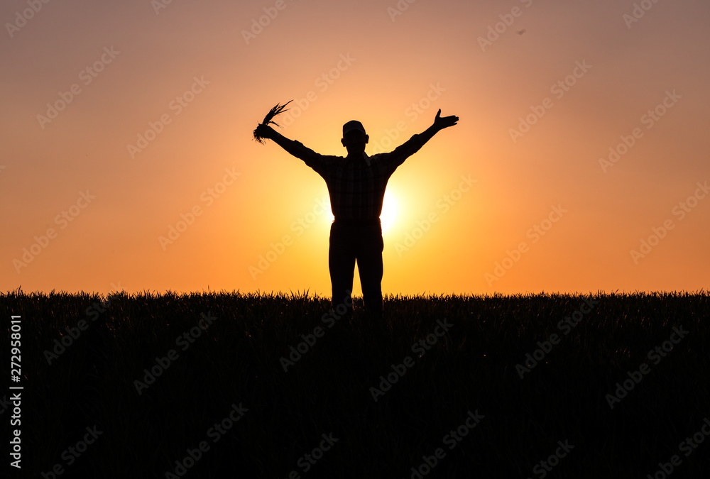 Silhouette of senior farmer standing in field with his hands outstretched.