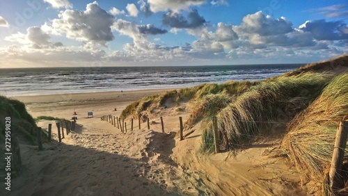 Dunes with marram grass at the beach of Bloemendaal aan Zee, Holland, Netherlands