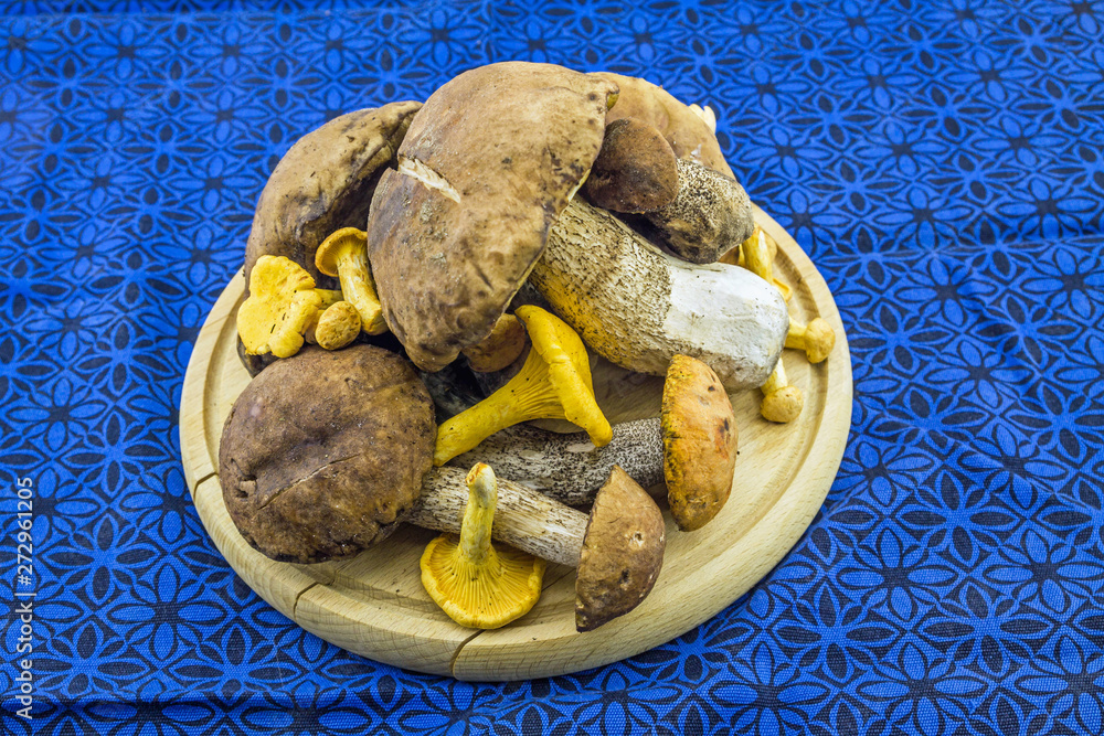 Forest picking mushrooms on the wooden plate