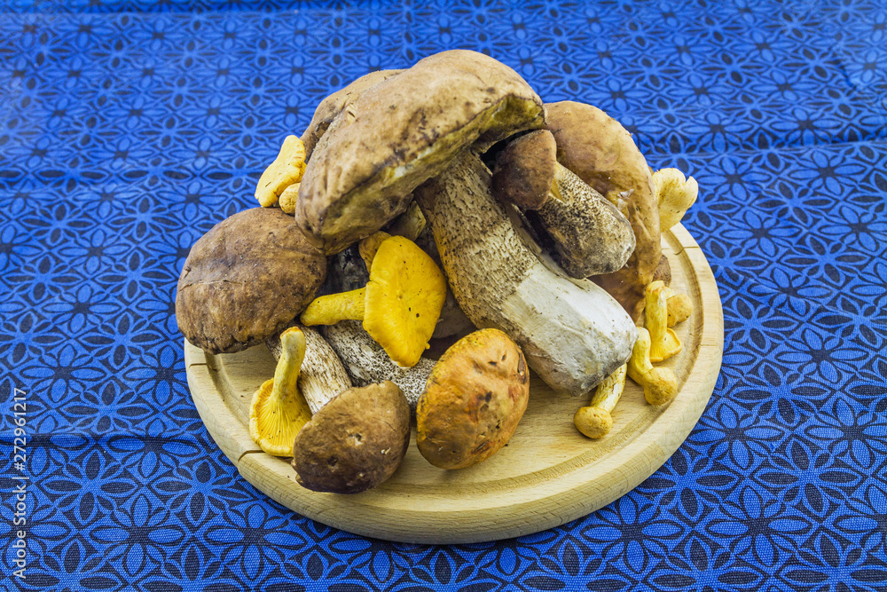 Forest picking mushrooms on the wooden plate
