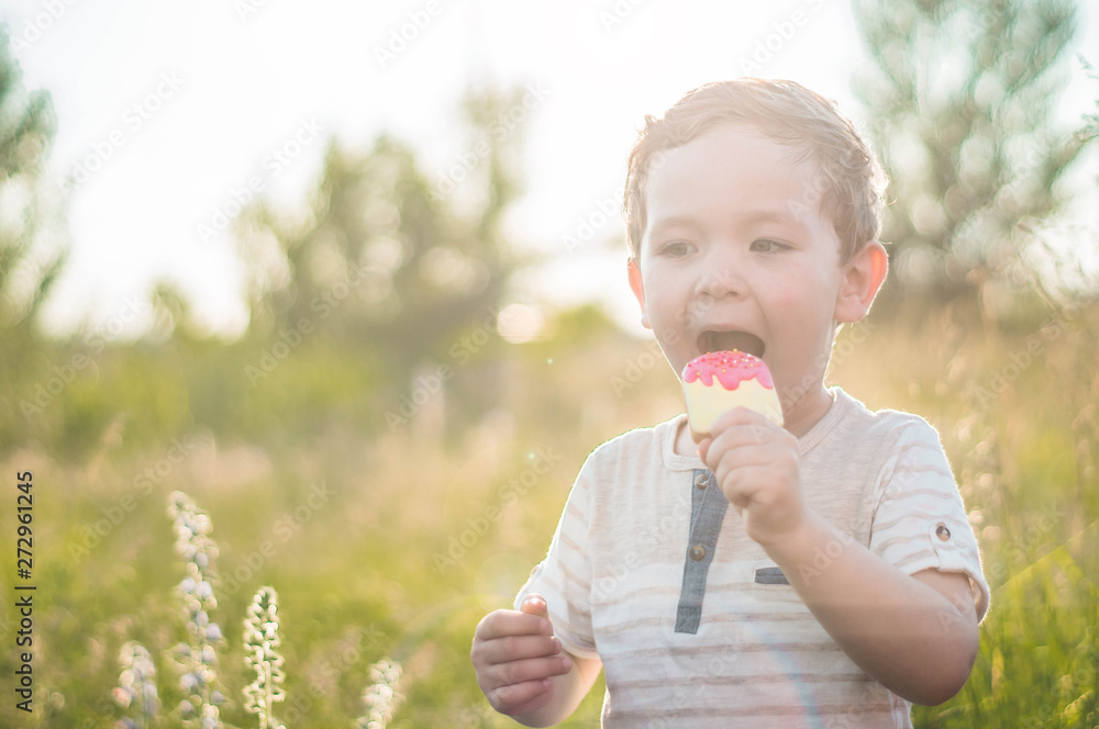 Happy Child eating cookies in the form of ice cream. Kids eat in the garden. Boy in the garden holding a ice cream. Happy Child eating cookies in the form of ice cream. Kids eat in the garden. Boy in the garden holding a ice cream.