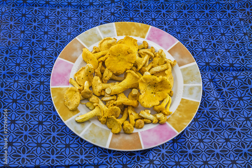 Chanterelle mushroom on the plate