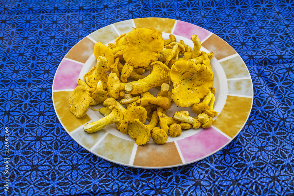 Chanterelle mushroom on the plate