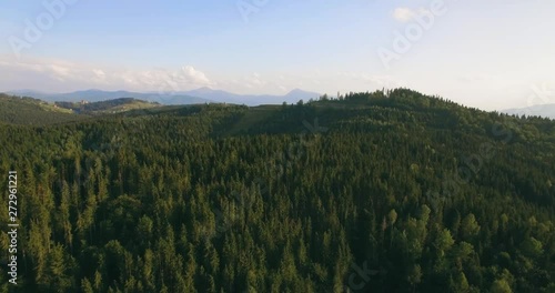 Long distance nature mountain green tree forest landscape, aerial view. 4k