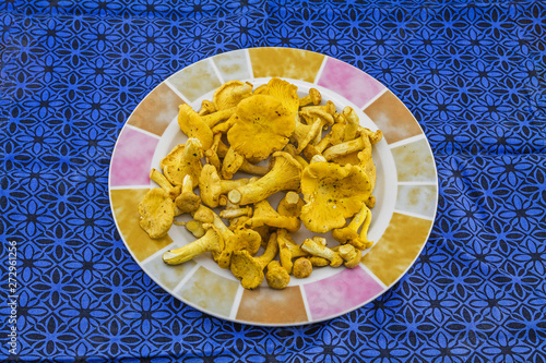 Obraz na płótnie Chanterelle mushroom on the plate w salonie