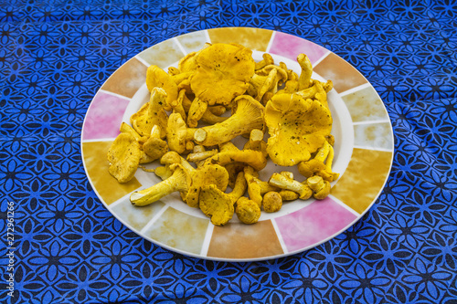 Obraz na płótnie Chanterelle mushroom on the plate w salonie