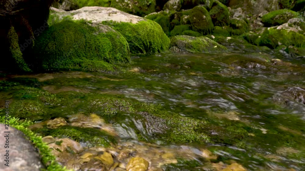 Small river with rocks covered by green moss. Abkhazia Small river with rocks covered by green moss. Abkhazia