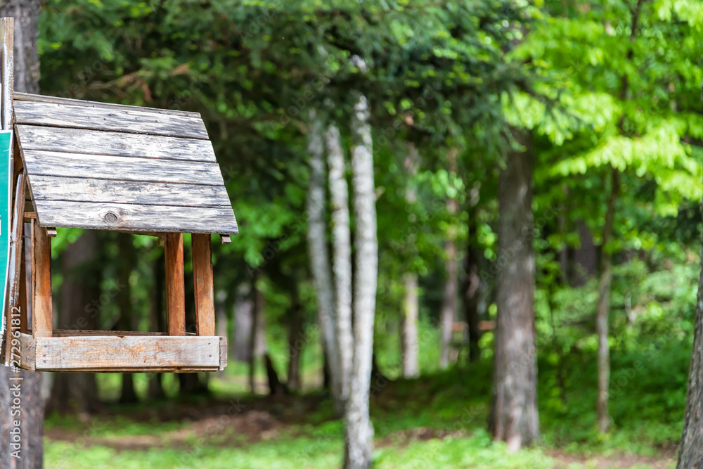 Wooden feeder for small birds attached to a tree Wooden feeder for small birds attached to a tree