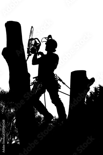 Vector silhouette of an Arborist at work with a chainsaw up a tree.