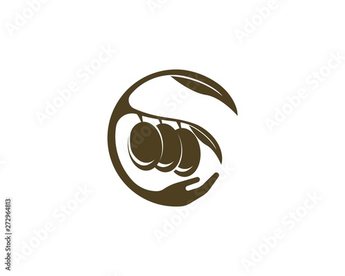 OLive logo vector illustration design template