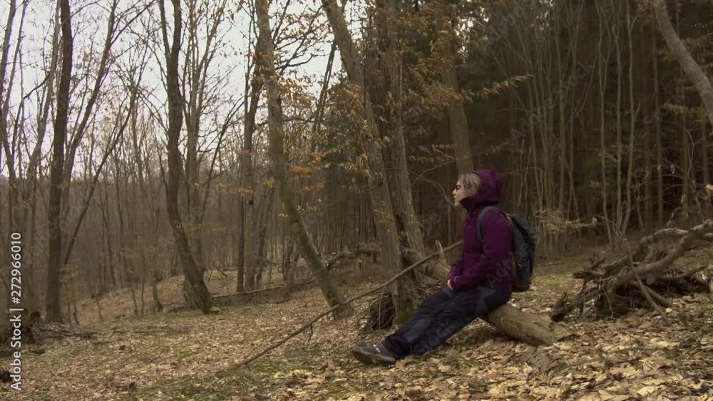 Woman in purple jacket resting on a fallen tree during a hike in Hoia Baciu, a famous forest in Romania said to be haunted. Female hiker taking a rest. Woman in purple jacket resting on a fallen tree during a hike in Hoia Baciu, a famous forest in Romania said to be haunted. Female hiker taking a rest.
