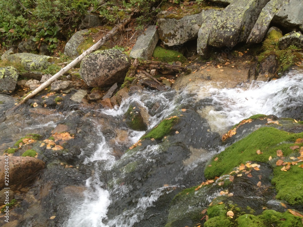 Fototapeta premium autumn, nature, stones, mountains, water, forest, lingonberry, moss, waterfall