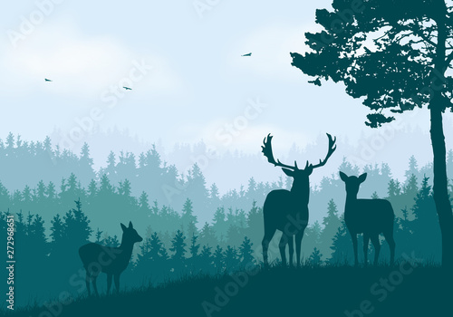 Realistic illustration of mountain landscape with coniferous forest under clear blue and green sky with white clouds. Deer, doe and little deer standing and looking into valley, vector