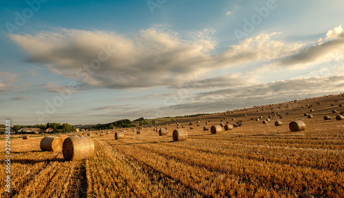 Straw bales are the beautiful scenery