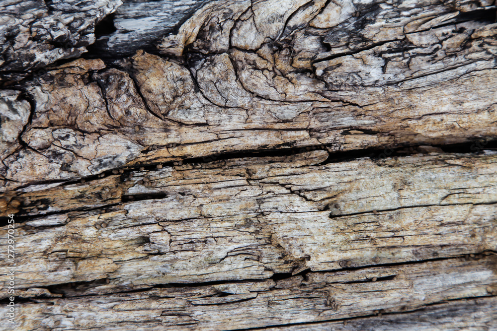 Old wood surface weathering Old wood surface weathering