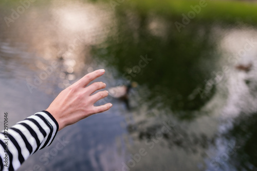 Woman's hand touch the water.