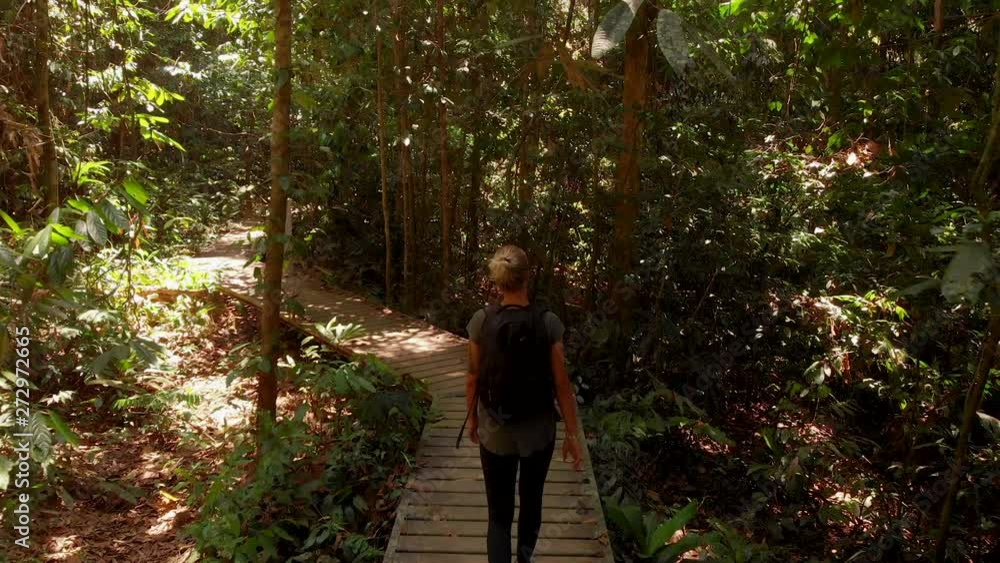 A young blonde woman with a ponytail walks slowly on a wooden stair pathway in the middle of a vast jungle A young blonde woman with a ponytail walks slowly on a wooden stair pathway in the middle of a vast jungle
