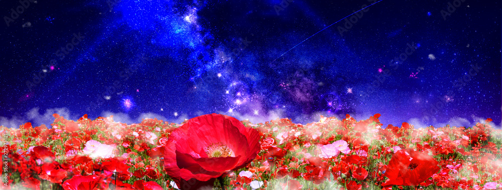 赤いポピーの花畑と天の川の見える夜空 Stock Photo Adobe Stock 赤いポピーの花畑と天の川の見える夜空 Stock Photo Adobe Stock