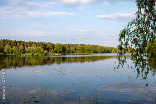 Fototapeta Naklejka Na Ścianę i Meble -  Landscape of a beautiful superficial blue lake surrounded by forest in the central part of Poland on a sunny summer day.
