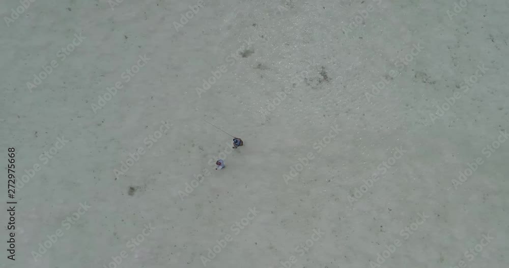Aerial view fishing guide and fly fisherman walking in clear shallow water on tropical sand flats in the Caribbean sea Los roques National Park Venezuela Aerial view fishing guide and fly fisherman walking in clear shallow water on tropical sand flats in the Caribbean sea Los roques National Park Venezuela