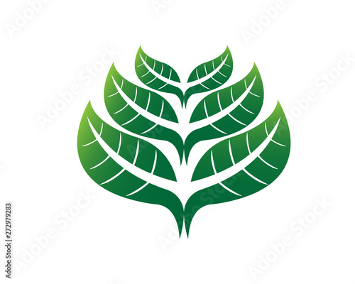 Leaf Green Nature logo and symbol template Vector