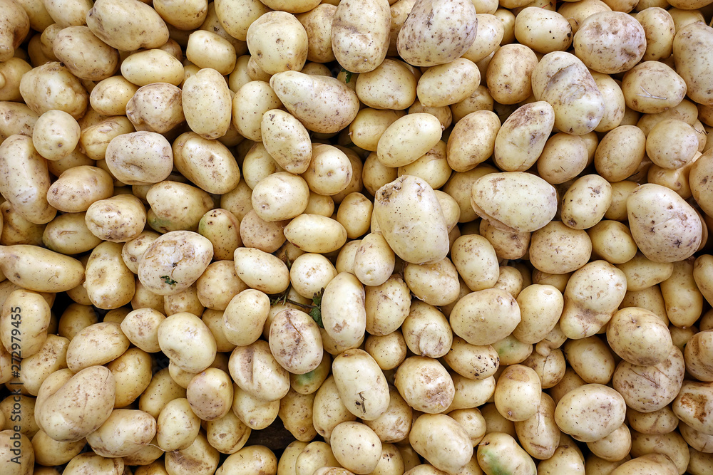 Fresh Organic Vegetable Food Potato Fresh Organic Vegetable Food Potato