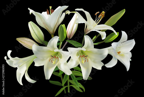 Fototapeta Naklejka Na Ścianę i Meble -  white large lily flowers on black