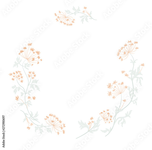 Floral ornament vector botany medicinal herbs vegetative world vegan ecology vegetative aromatic romana pharmaceutical inflorescence vitamins essential oils © Anatoly Shapoval