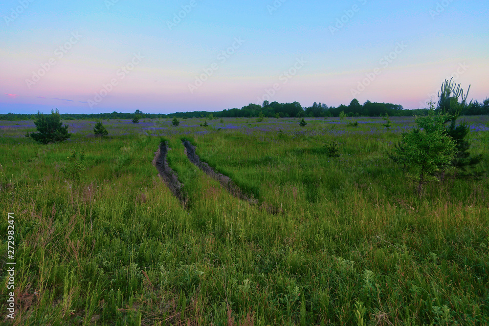 Track road on green grass field Natural background. Stadium grass landscape. Abstract nature background.