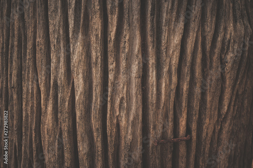 wood texture background