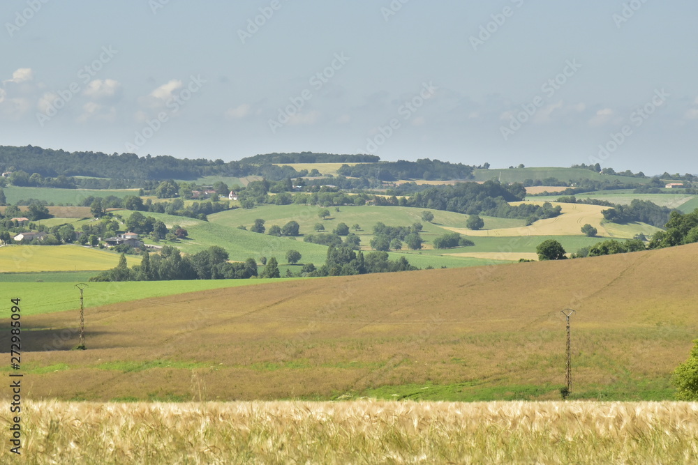 Paysage typique composé de champs et de bois aux environs du bourg de Vendoire au Périgord Vert
