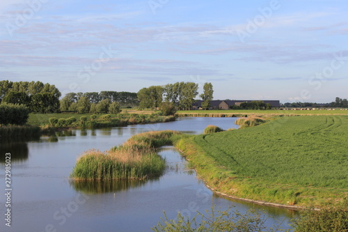 beautiful natural channel in the dutch countryside with reeds and willows