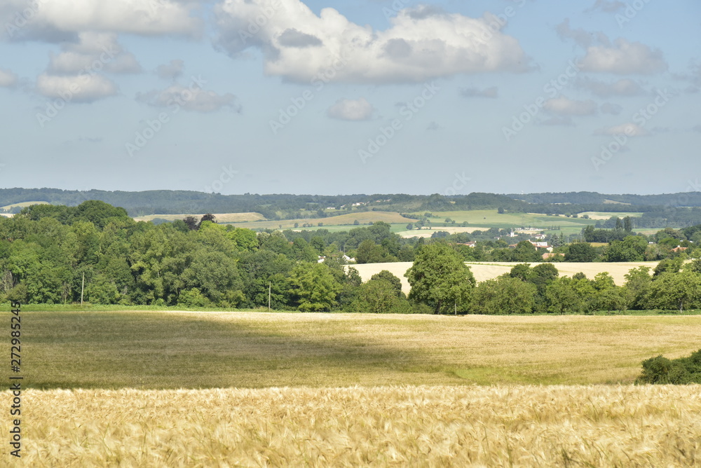 L'ombre d'un nuage sur l'un des champs de blé à Vendoire au Périgord Vert