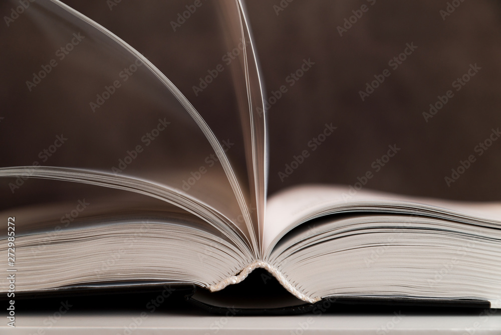 Fototapeta premium open book on gray background. Back to school