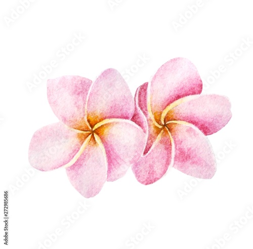 This is my hand-drawn tropical flowers on a white background.
