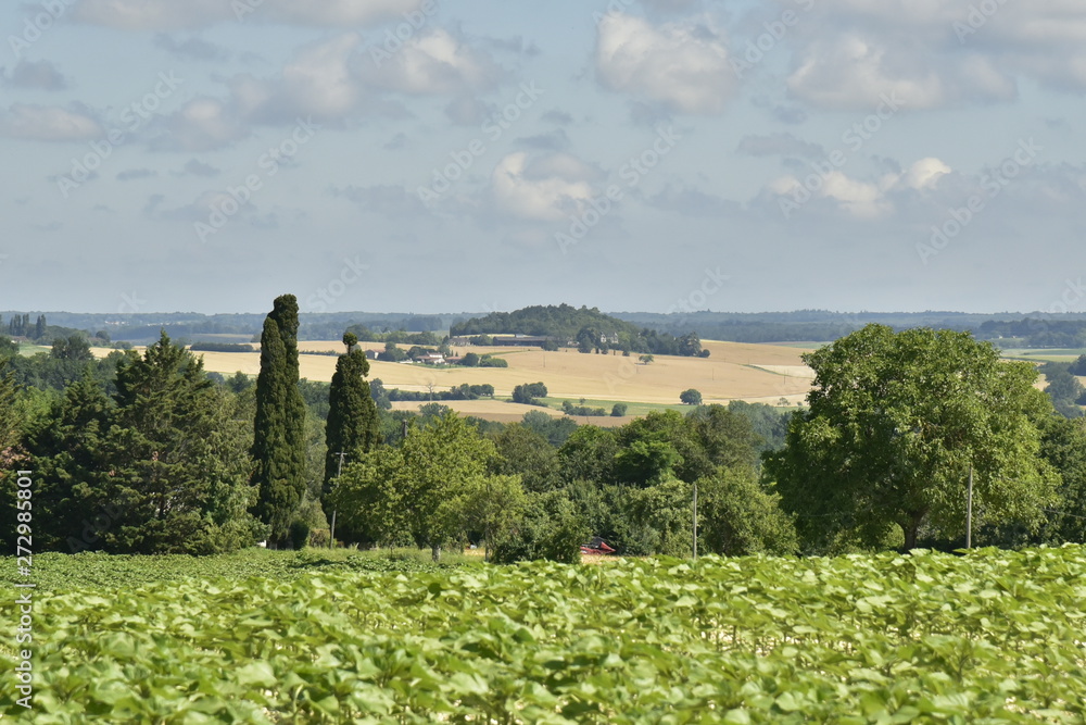 Colline avec son sommet boisé à l'horizon à la limite entre les ...