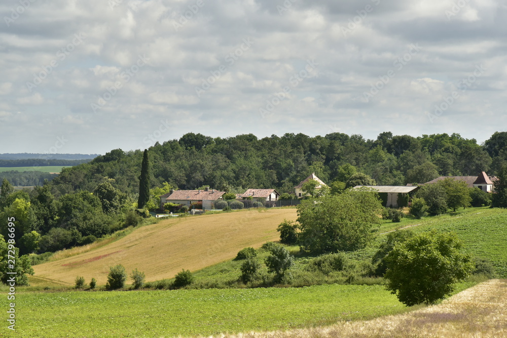Naklejka premium L'un des hameaux à flanc de colline dominant un champs de blé et zones boisées vers la vallée de la Lizonne au Périgord Vert