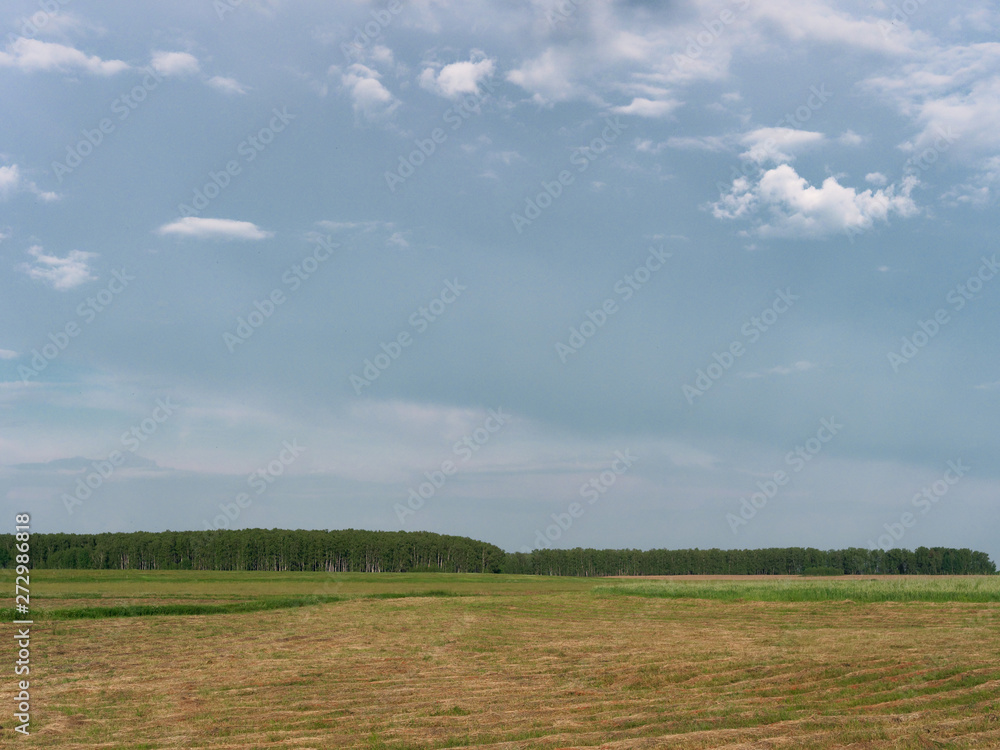 beautiful white clouds in the sky float above the field beautiful white clouds in the sky float above the field