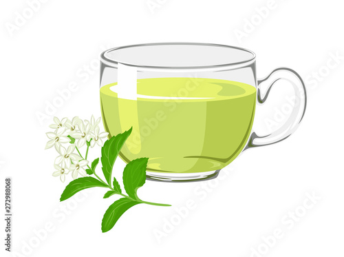 Tea with stevia. Glass cup with a drink and a natural sweetener isolated on a white background. Vector illustration in cartoon simple flat style.