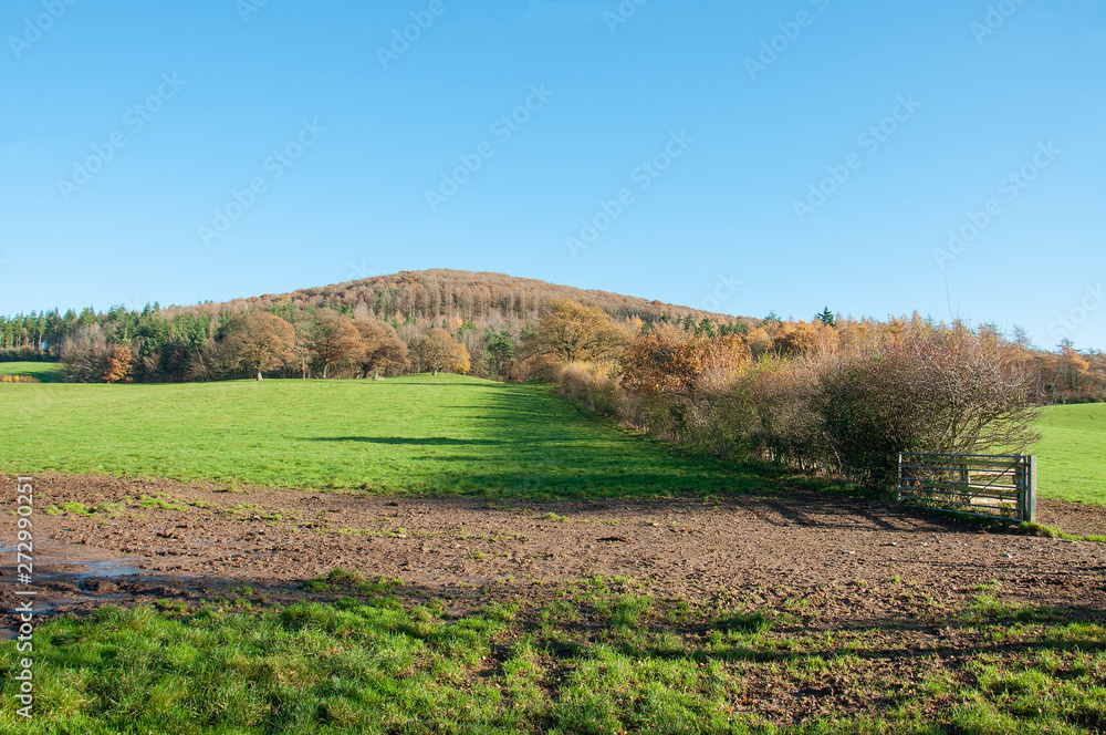 Fototapeta premium Autumn landscape in the English countryside.