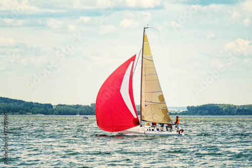 A small pleasure sailing yacht with scarlet sails goes to the bay on a sleepy day against the background of a dense forest on the opposite shore.