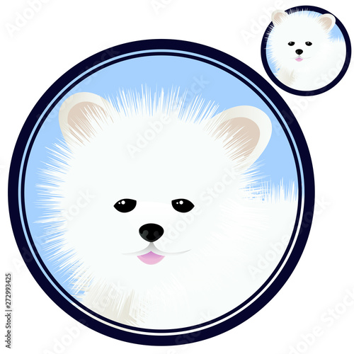 Spitz dog head in circle