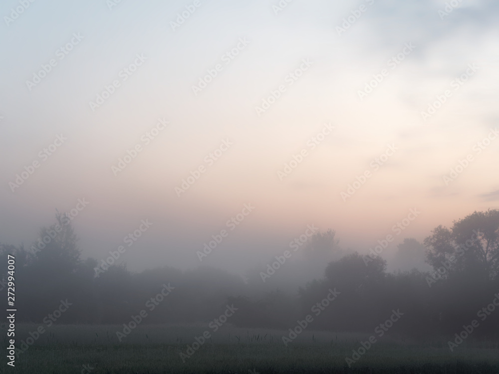Fototapeta premium fog at dawn over a field of farmland