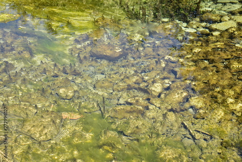 Les eaux cristalline d'un ruisseau au bourg de Fontaine au Périgord Vert