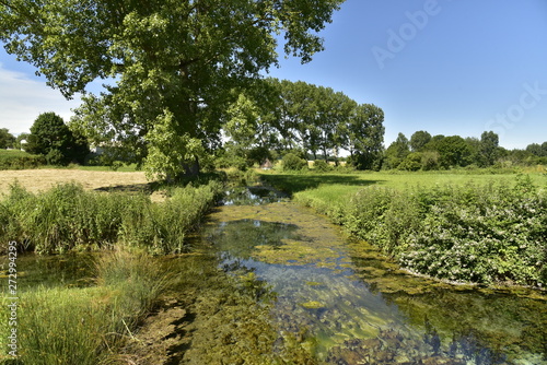 Rivière entourée de végétation sauvage derrière la pompe à eau au bourg de Fontaine au Périgord Vert