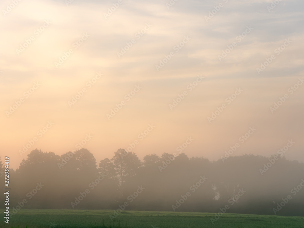 Fototapeta premium fog at dawn over a field of farmland